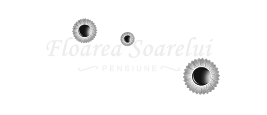 Floarea Soarelui Pensiune